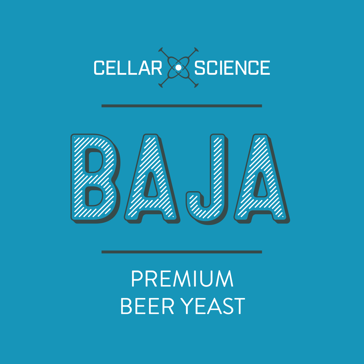 BAJA Dry Beer Yeast