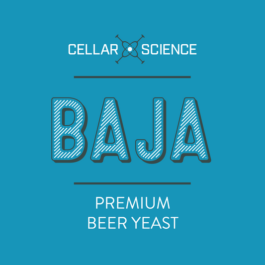 BAJA Dry Beer Yeast