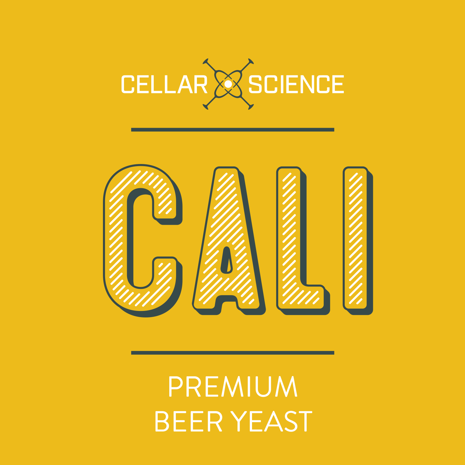 CALI Dry Beer Yeast – Cellar Science