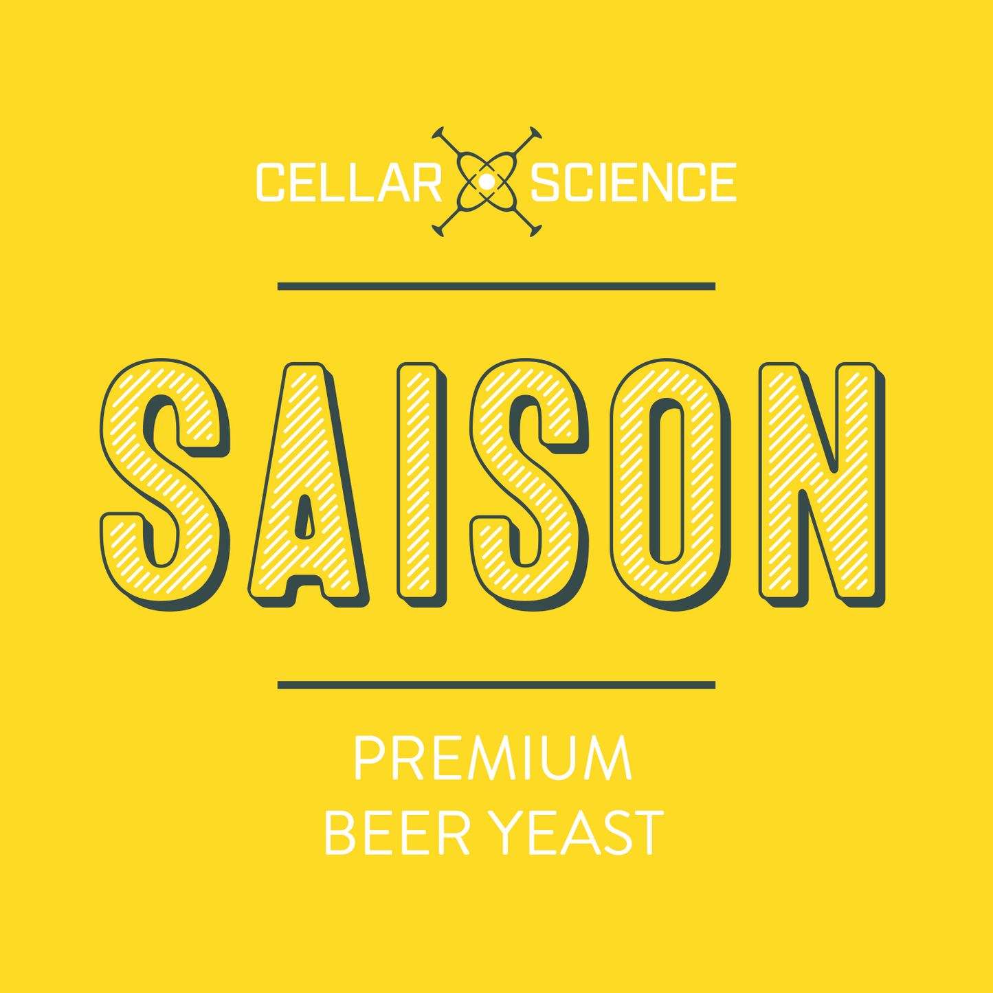 SAISON Dry beer Yeast