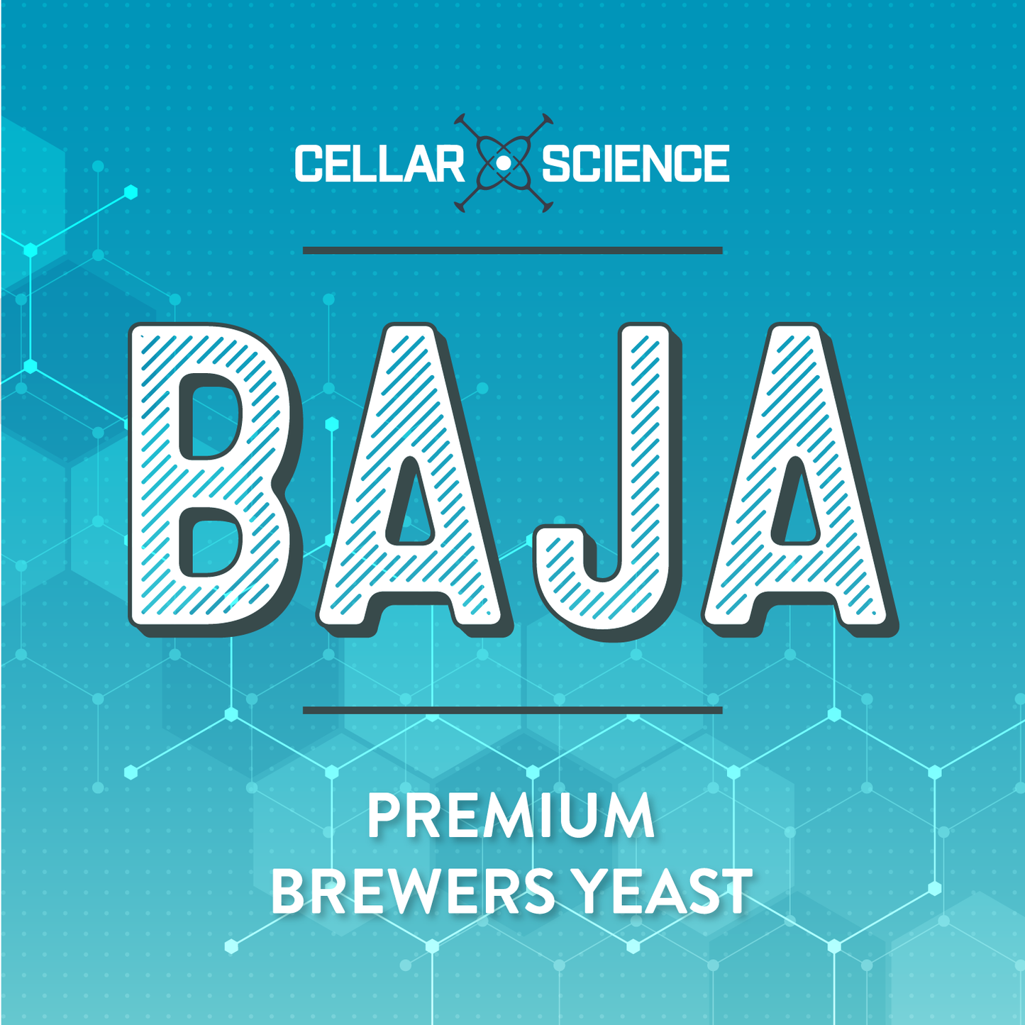 BAJA Dry Beer Yeast