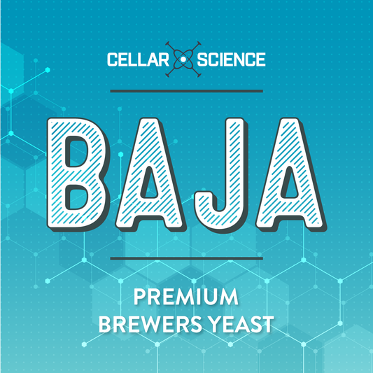 BAJA Dry Beer Yeast