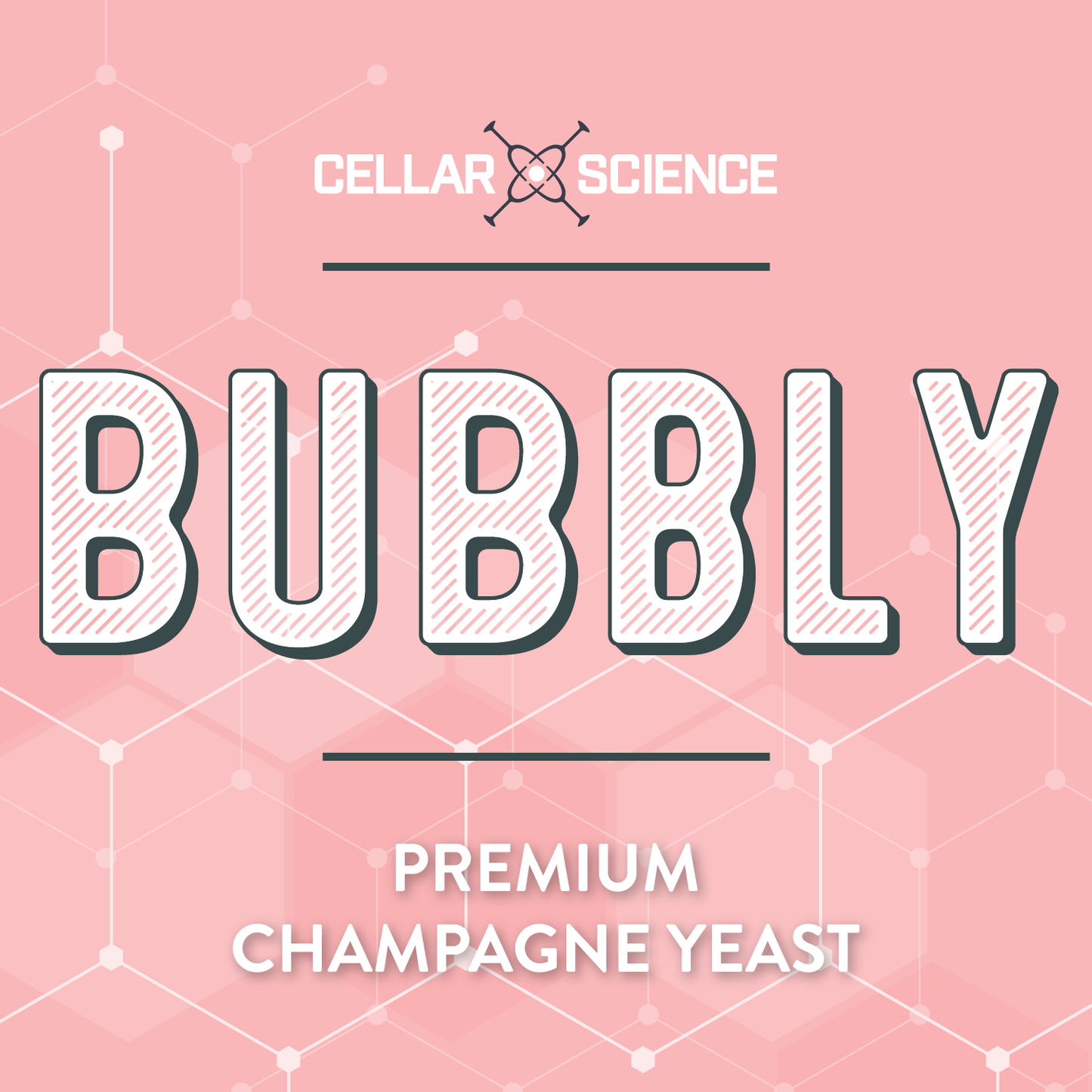 BUBBLY Dry Champagne Yeast