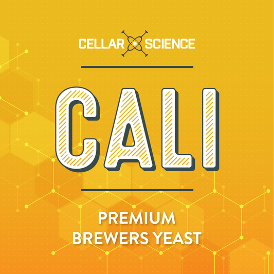 CALI Dry Beer Yeast