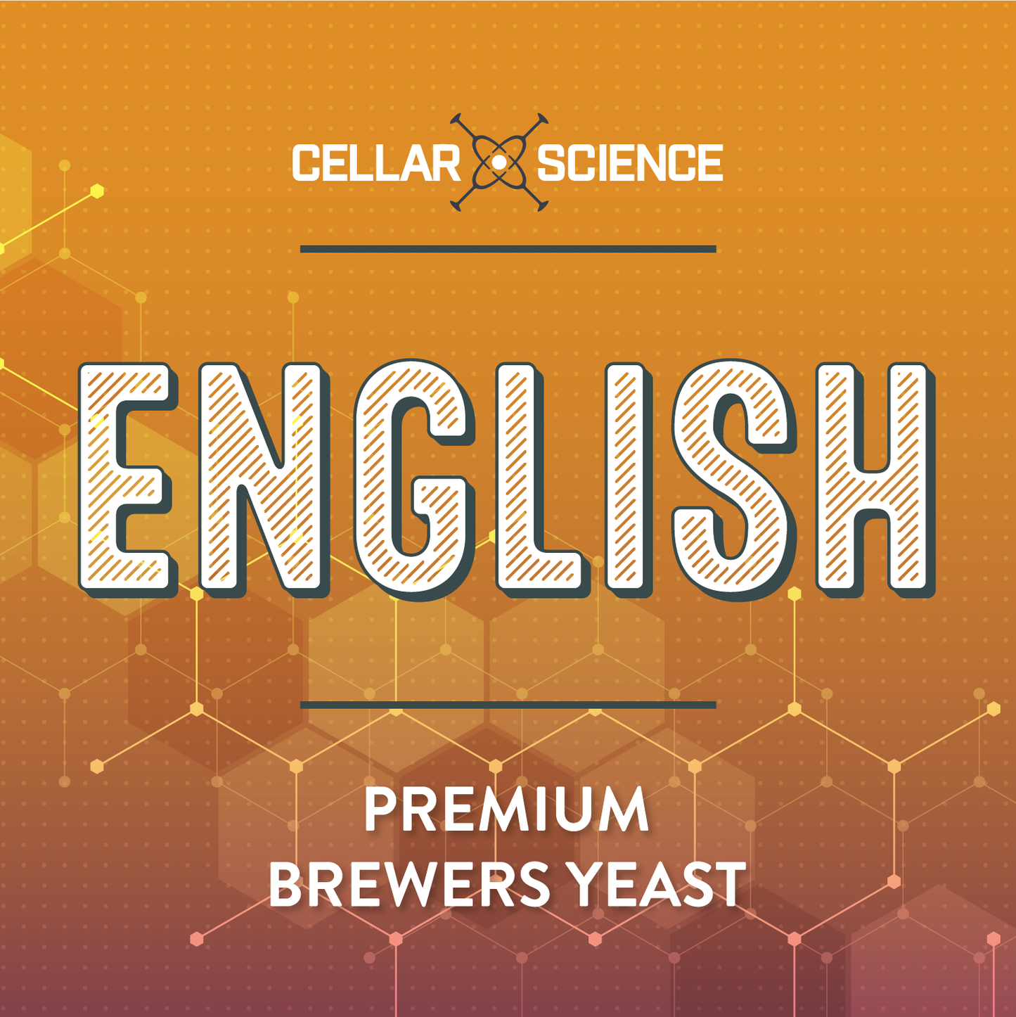 ENGLISH Dry Beer Yeast