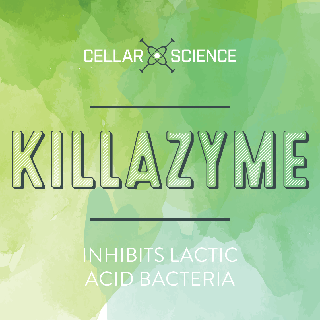 KILLAZYME Inhibits Lactic Acid Bacteria