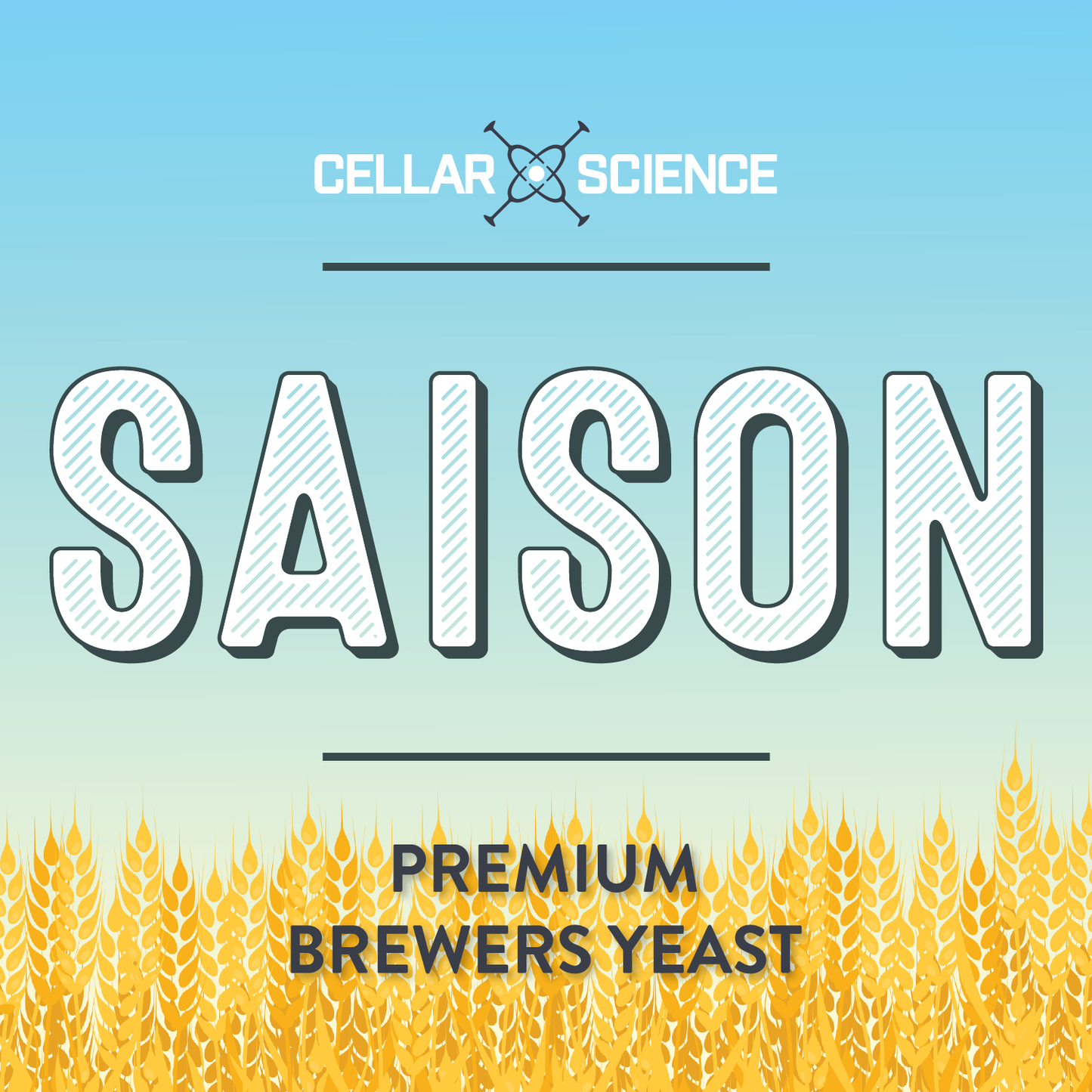 SAISON Dry beer Yeast