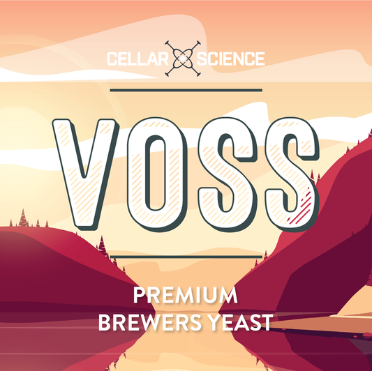 VOSS Dry Beer Yeast