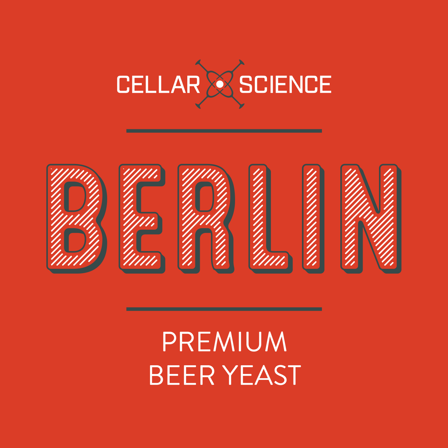 BERLIN Dry Beer Yeast