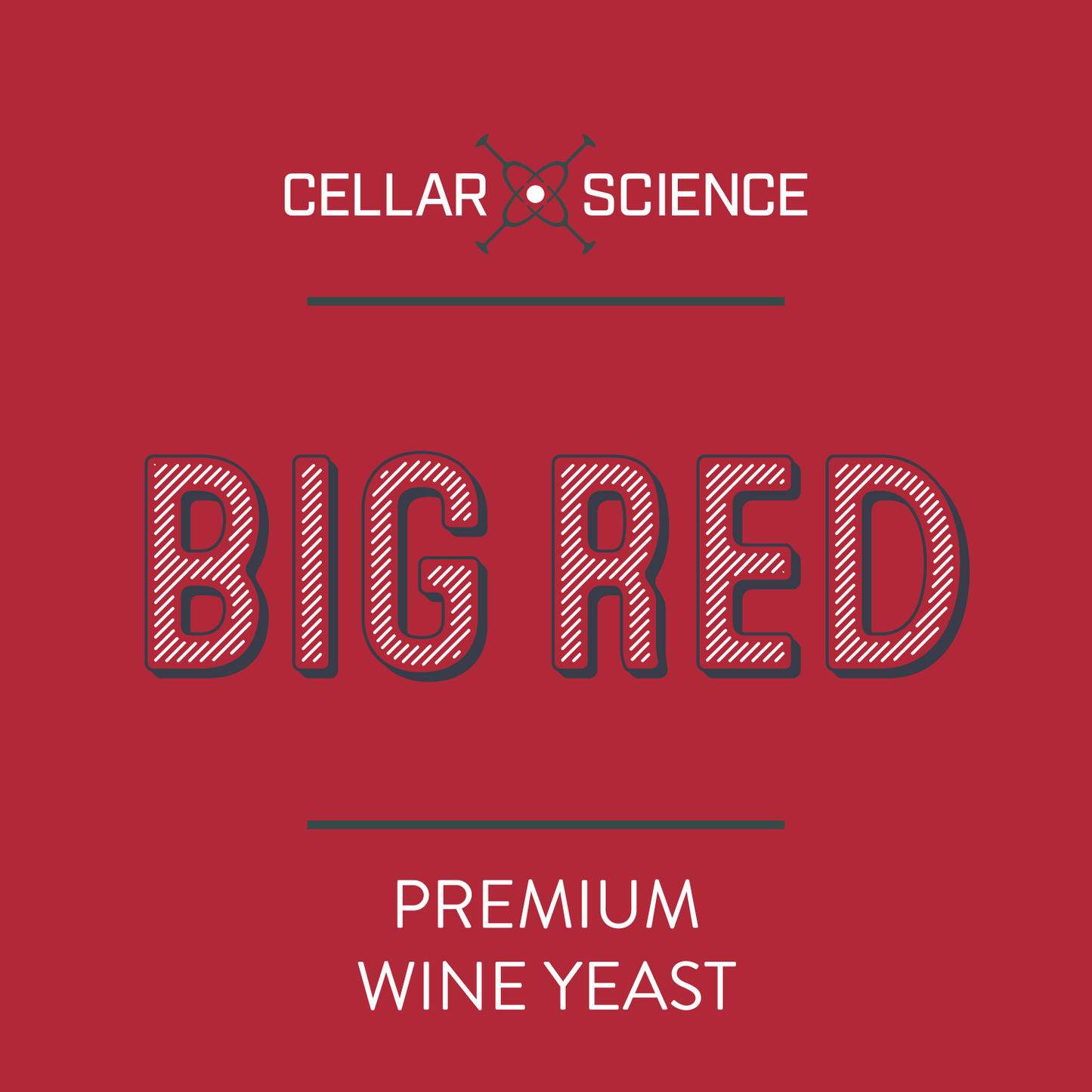 BIG RED Dry Wine Yeast