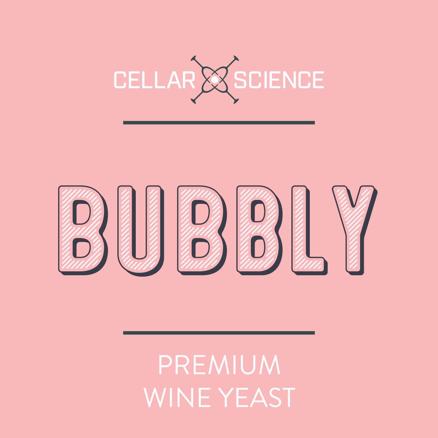 BUBBLY Dry Champagne Yeast