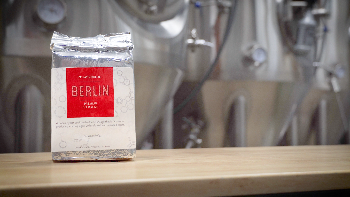 BERLIN Dry Beer Yeast