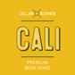 CALI Dry Beer Yeast
