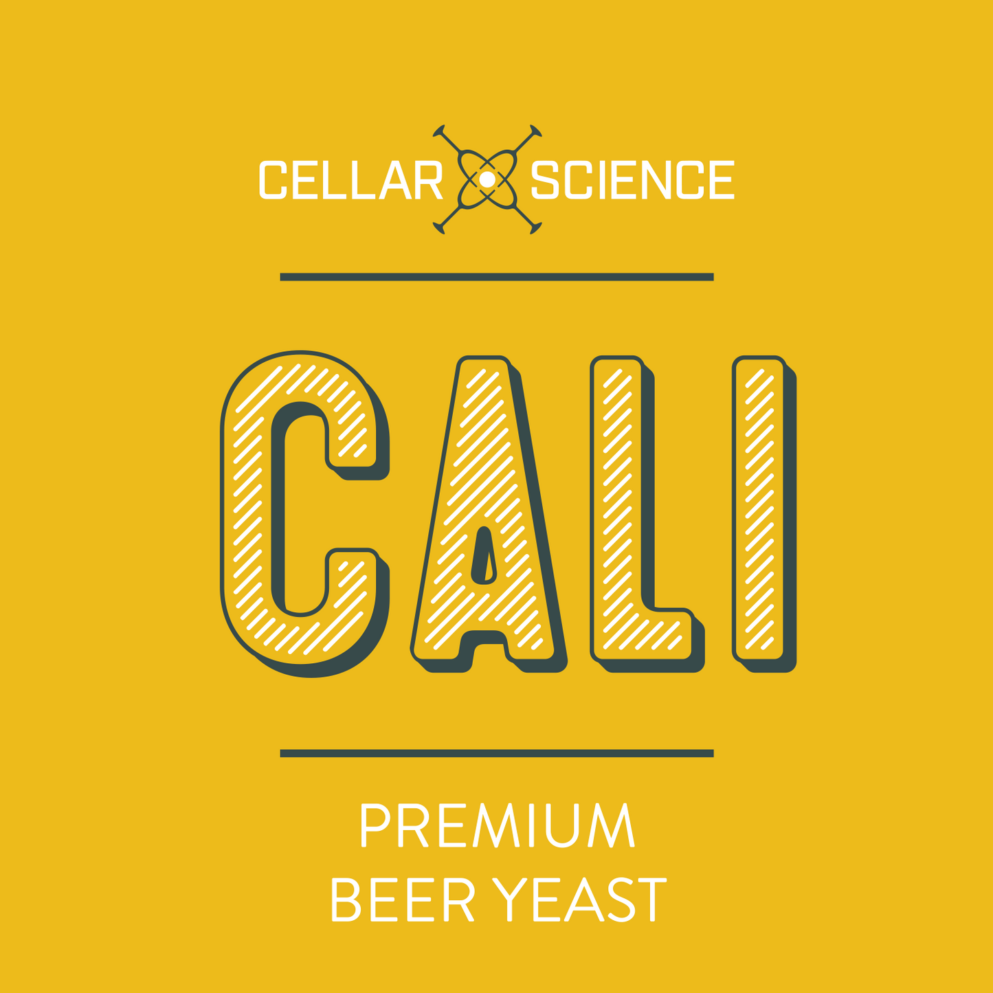 CALI Dry Beer Yeast