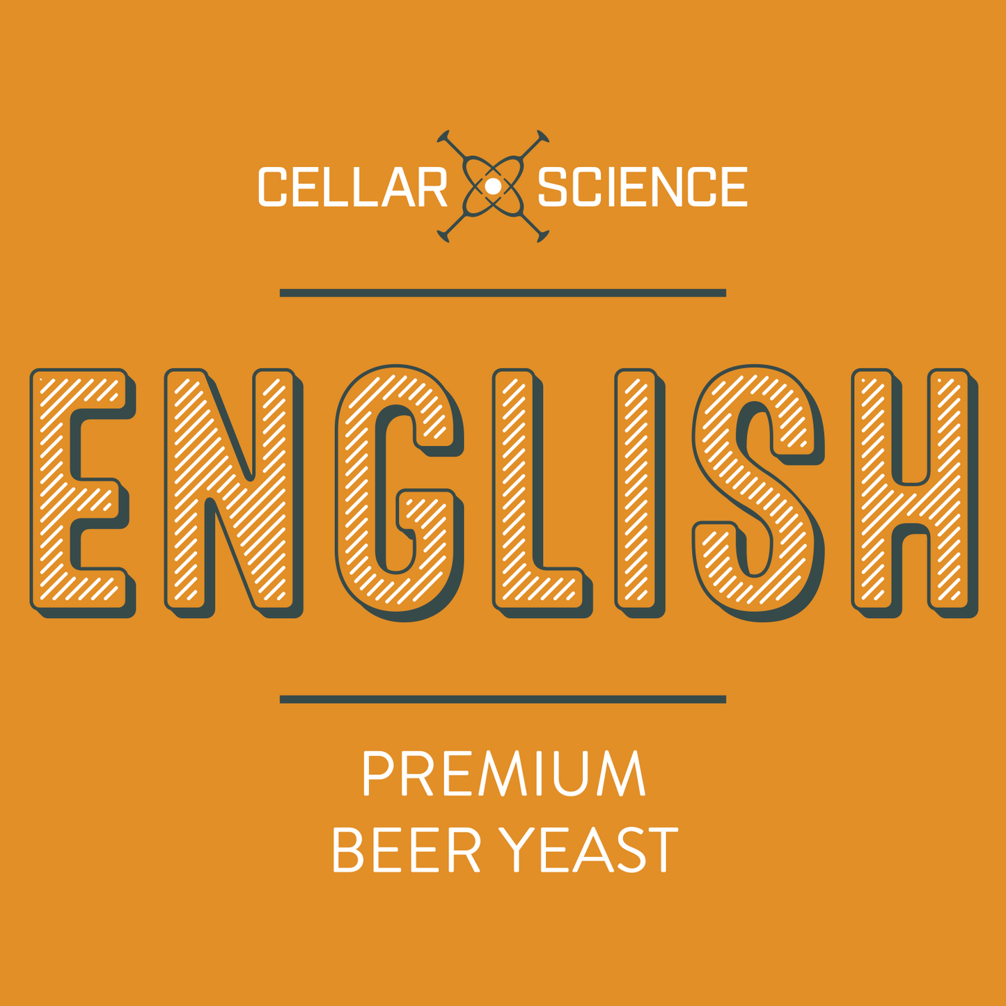 ENGLISH Dry Beer Yeast
