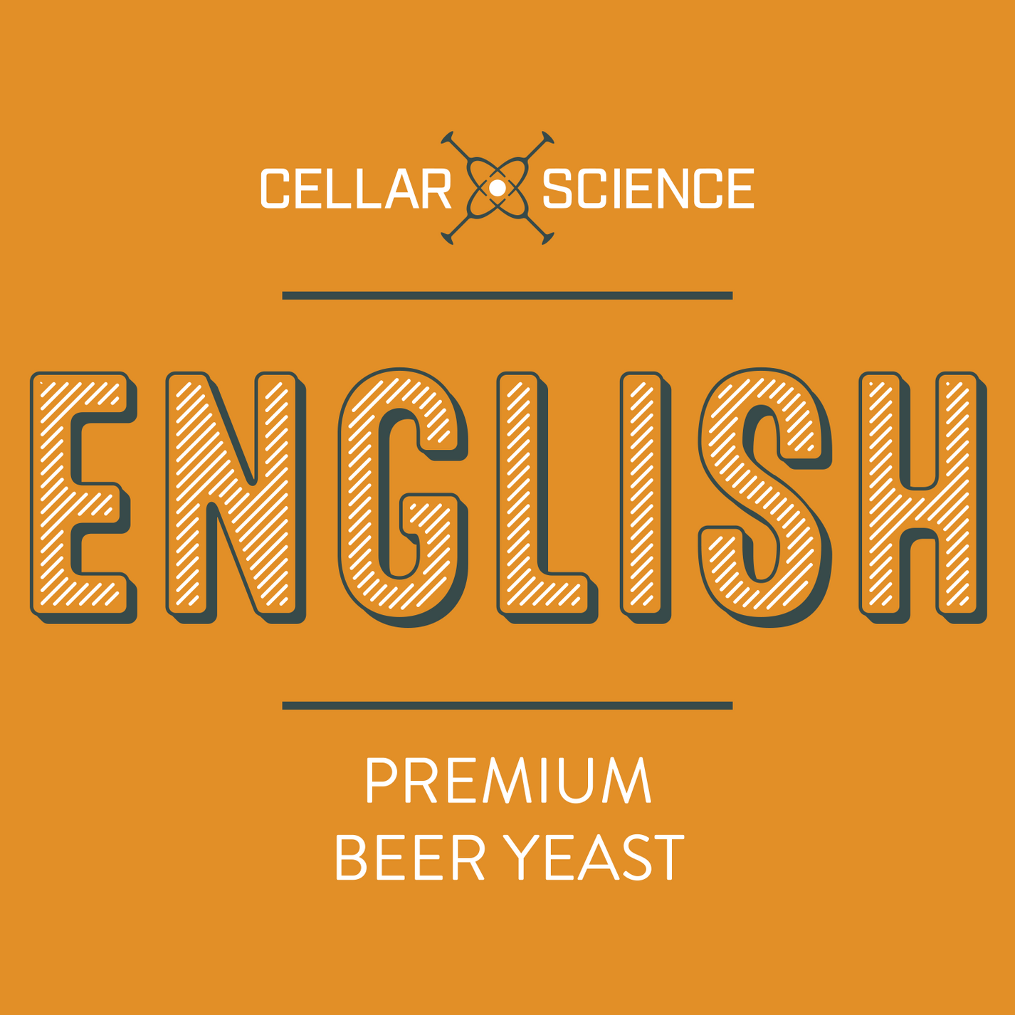 english-dry-beer-yeast-cellar-science