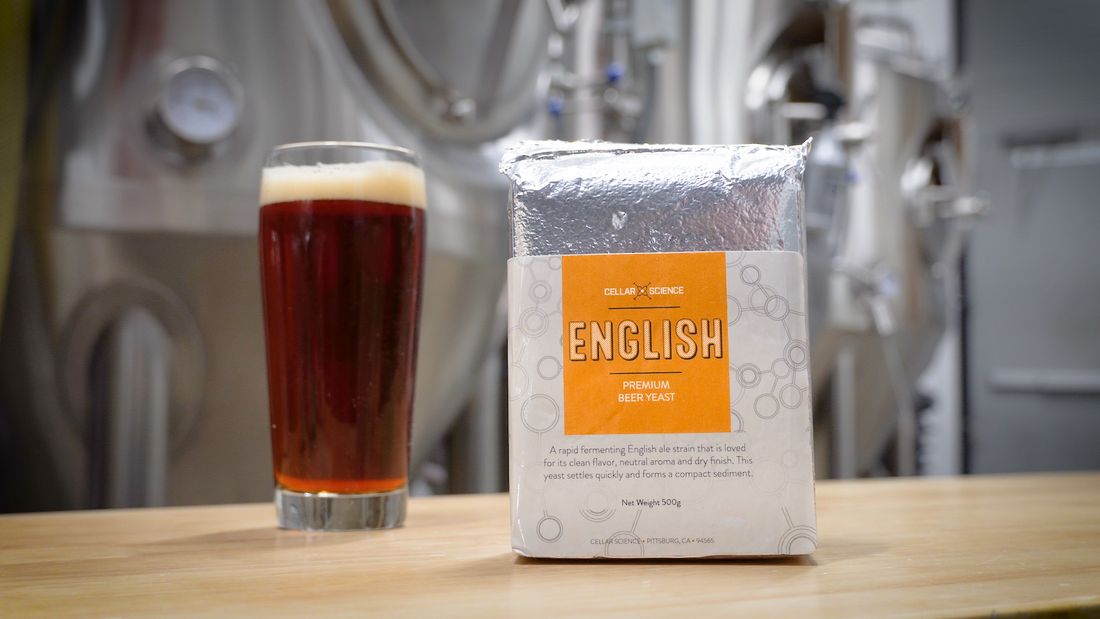 ENGLISH Dry Beer Yeast – Cellar Science