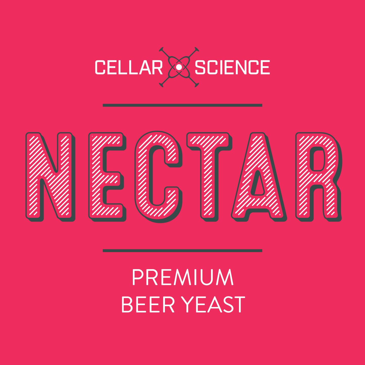 NECTAR Dry Beer Yeast