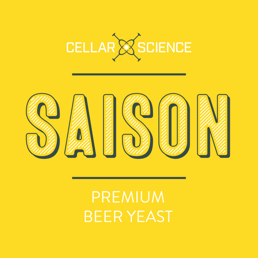 SAISON Dry beer Yeast